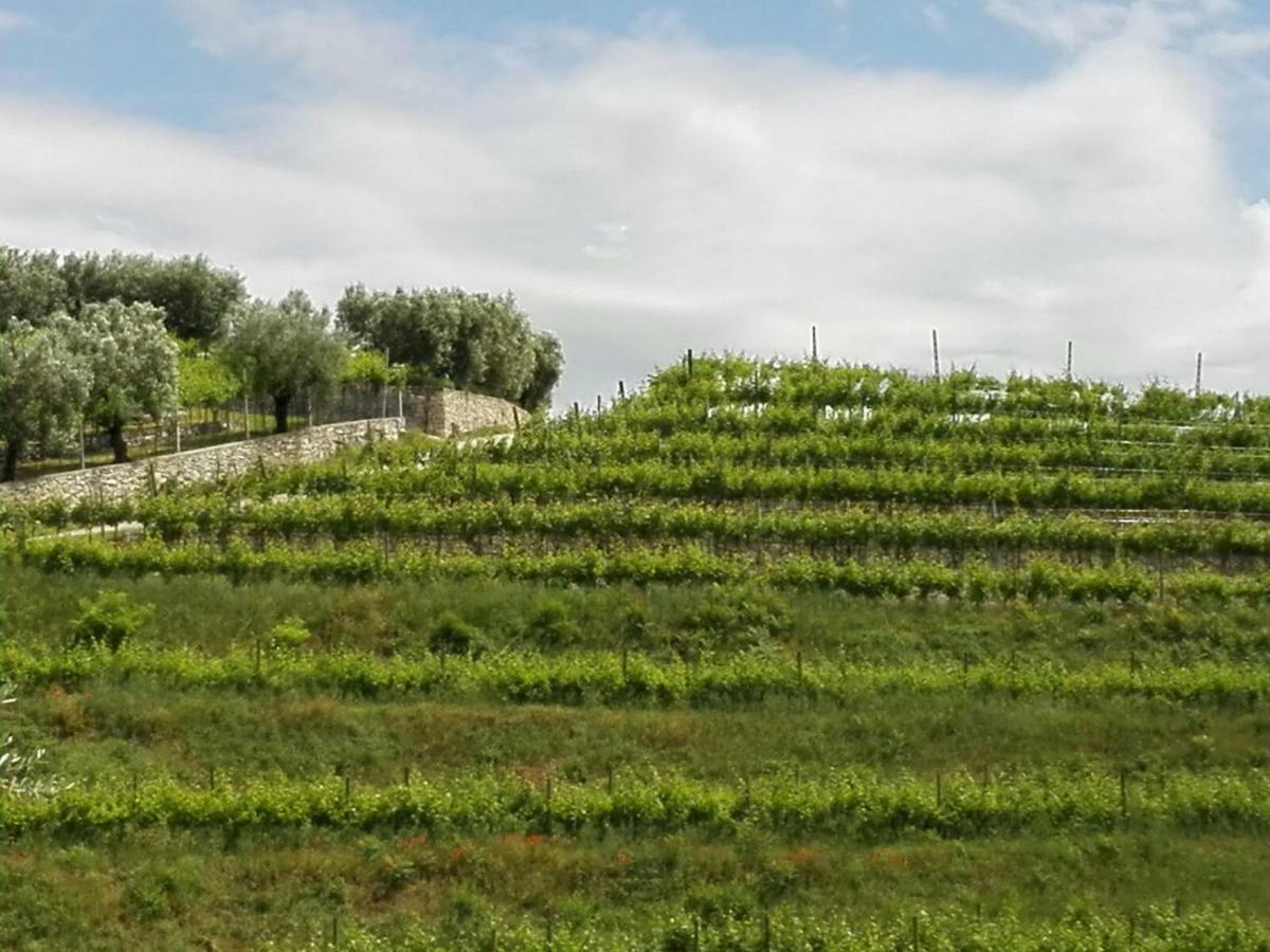 B&B Corte Giare SantʼAmbrogio di Valpolicella Exteriér fotografie